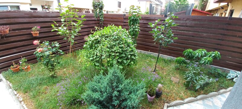 Popesti Leordeni
